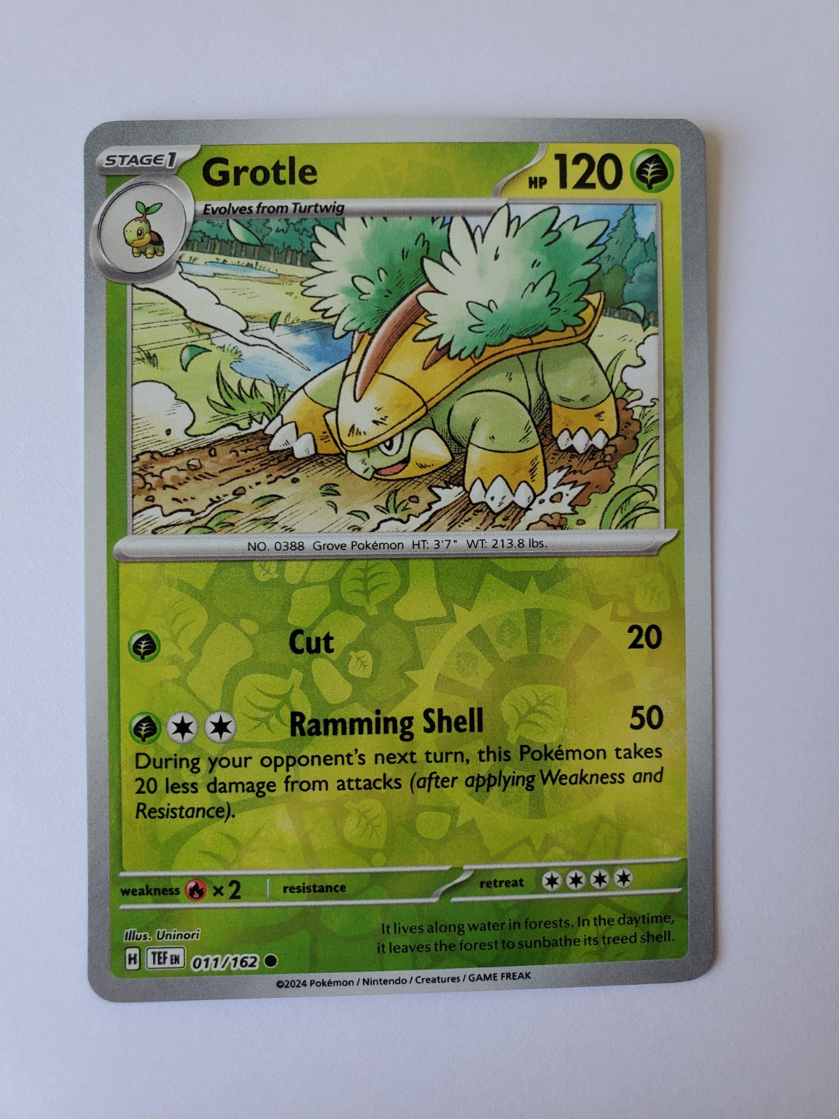 Grotle 11/162 | Temporal Forces | Reverse Holo Common | NM | Pokemon TCG Card