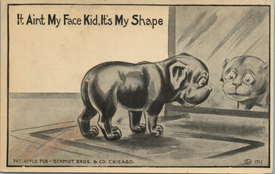 Schmidt Bros. c1911 Cute Puppy Looking In Mirror Comic Humor Vintage Postcard