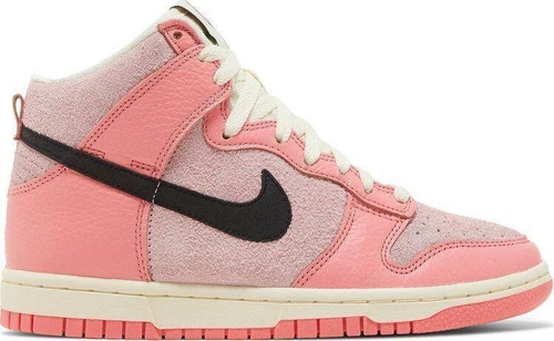 Nike Dunk High Hoops W