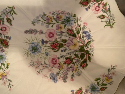 AYNSLEY WildTudor Fine English Bone China Serving Cake Plate and Knife New - Picture 6 of 9