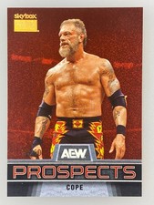 2025 SkyBox Metal AEW COPE Premium Prospects Star Rubies #'d /50 💎