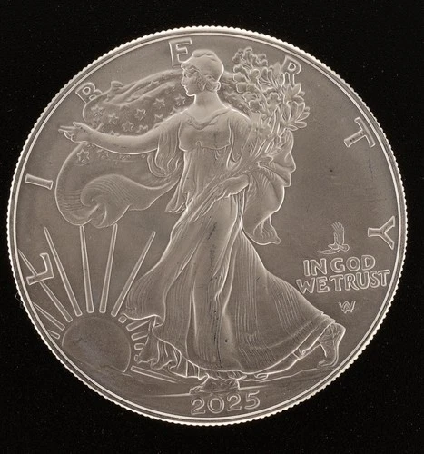 2025-P American Silver Eagle First Eagle Privy 1 oz BU .999🔥