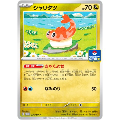 Tatsugiri 236/SV-P Gym Promo - Pokemon Card Japanese Scarlet