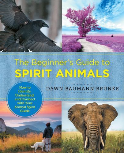 Beginner's Guide to Spirit Animals : How to Identify, Understand, and Connect...