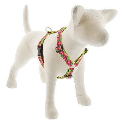 Lupine Extra Large Adjustable Dog Harness 1'' Wide Petunias with 36-44'' Girth