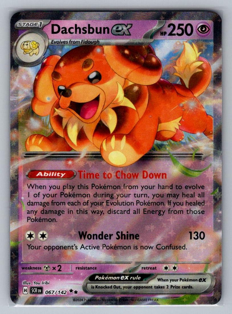 Dachsbun ex 67/142 Double Rare Stellar Crown Pokemon Near Mint