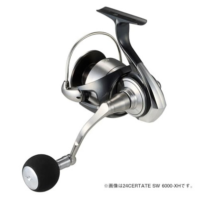 DAIWA Large Spinning Reel 24-Celtate SW 5000-PNEW | eBay