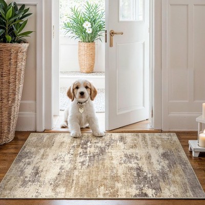 Washable Non-Slip 2x3 Area Rug - Neutral Kitchen Runner Rug with Soft Low-Pil...