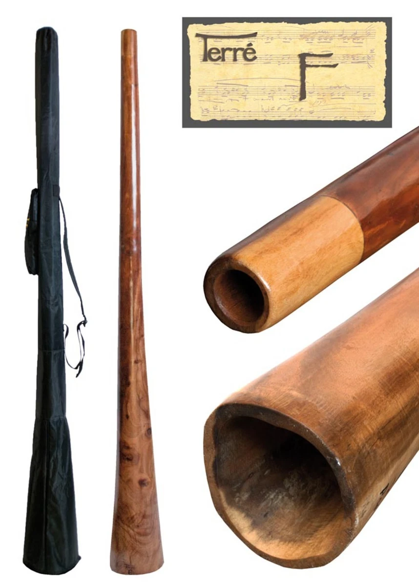 Didgeridoo eucalyptus sale