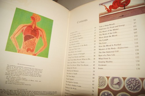 The Human Body Illustrated Colorful Pullout Deluxe Golden Book 1959 1961 Vintage - Picture 12 of 17