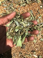 Curry Leaves /Powder 100 Natural Dried Herbal Ceylon Spicy Free Shipping