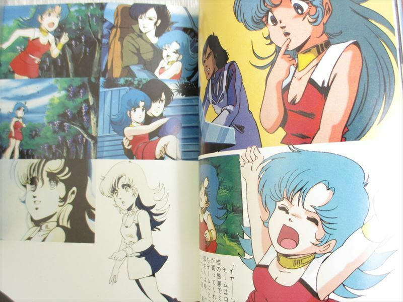 ORGUSS Connection 1983 Art Works Fan Book Haruhiko Mikimoto