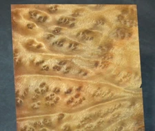 Camphor Burl Raw Wood Veneer Sheet 6 x 12 inches 1/42nd thick  4672-79