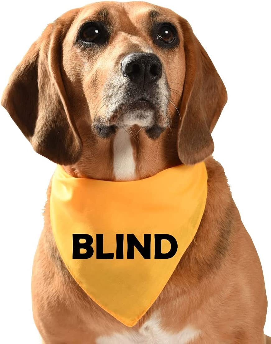 BLIND Dog Bandana Yellow 3 sizes reactive nervous training visually