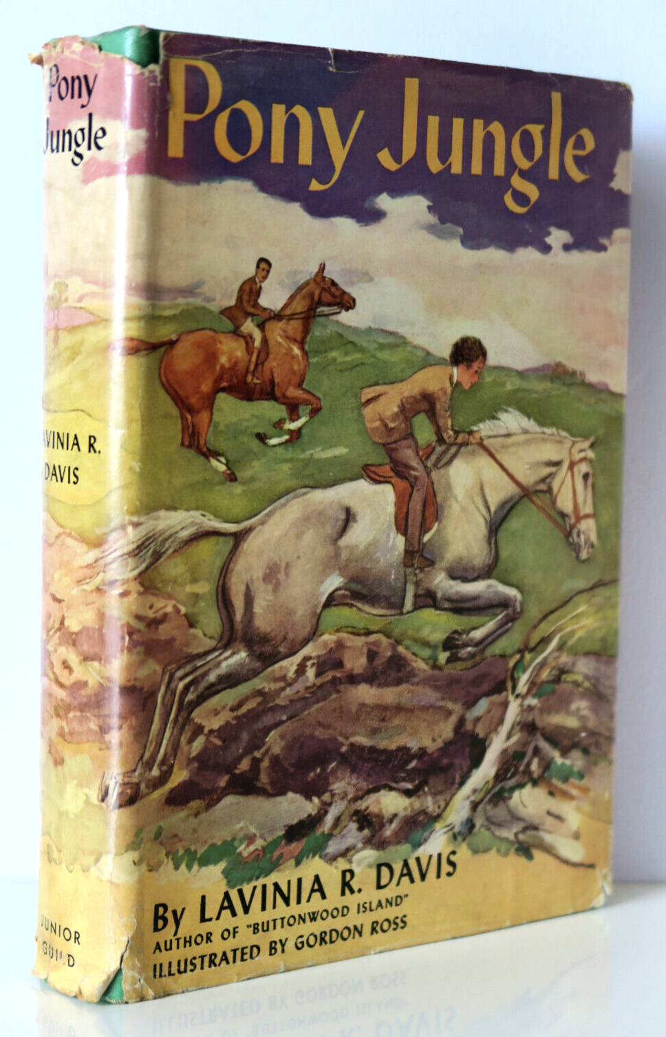 Pony Jungle by Lavinia R. Davis Art by Gordon Ross 1941 Hardcover Dust Jacket