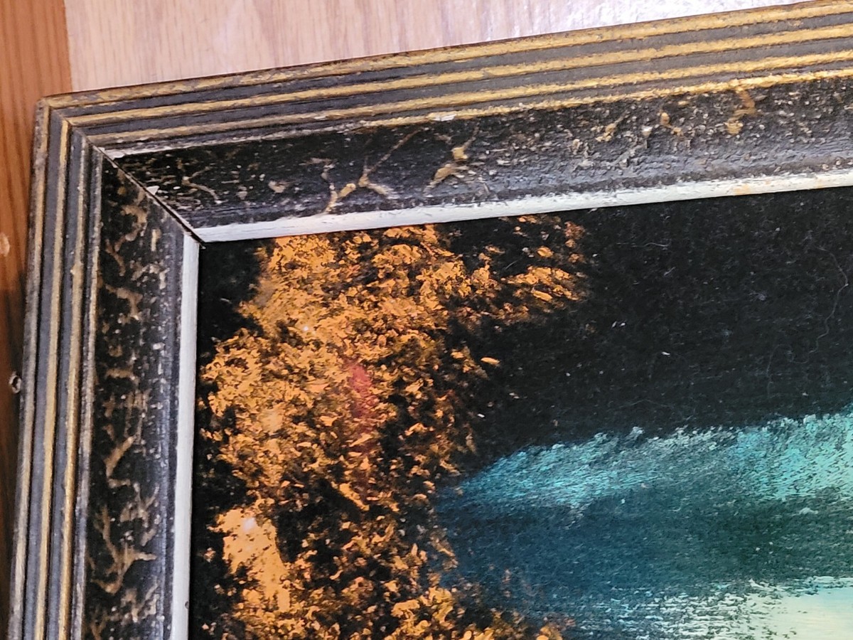 VINTAGE 70'S BLACK VELVET ART PAINTING. FRAMED | eBay