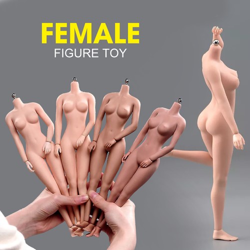 1:6 Scale Flexible Seamless Body Large Bust Breast For 12''Female Figure Toy - Bild 5 von 32