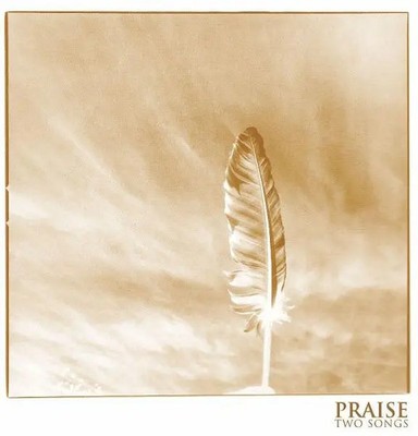 Praise Two Songs GREY MARBLED PRESSING+ DOWNLOAD CODE Vinyl Single 7inch