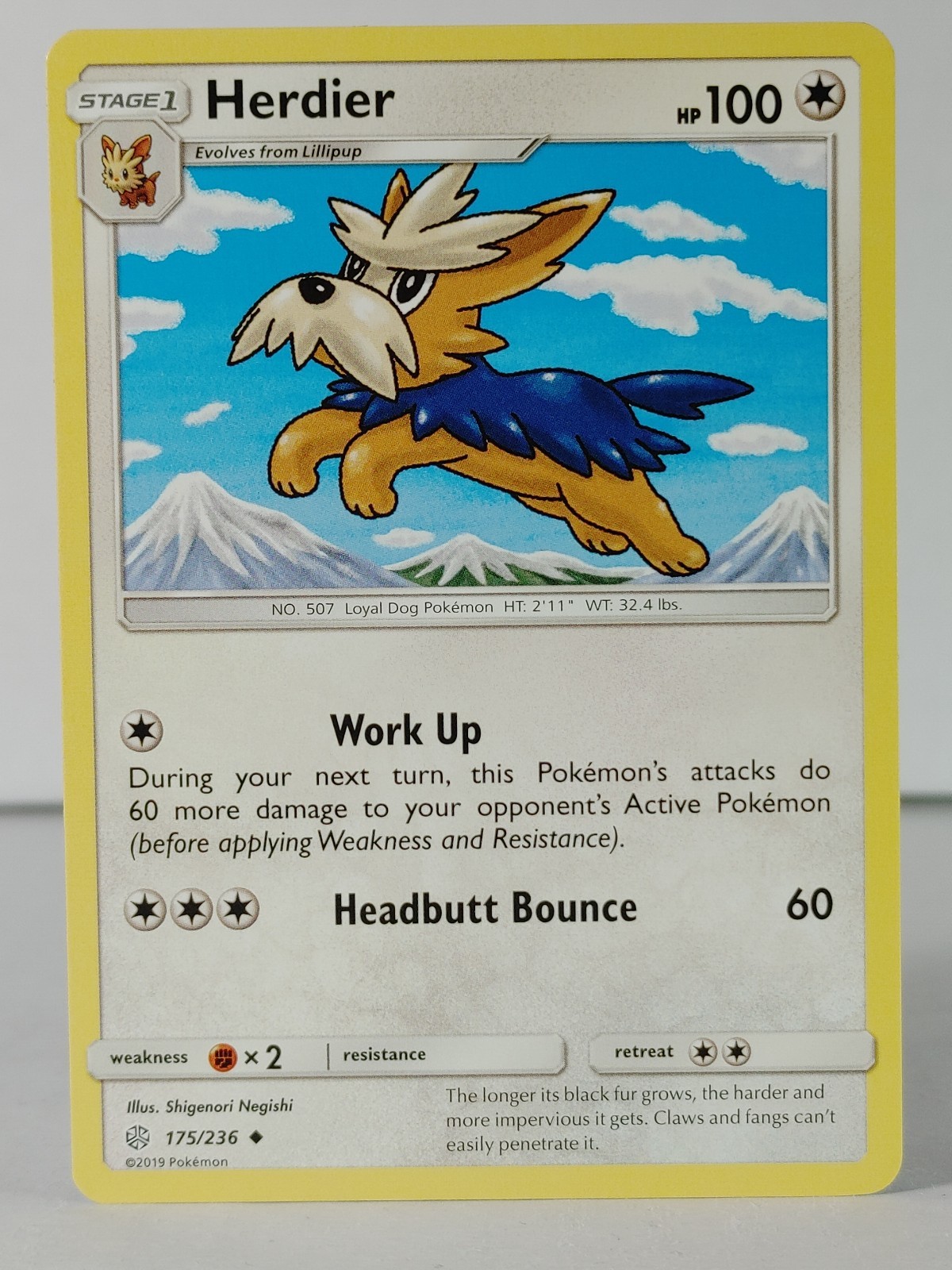 Herdier - SM: Cosmic Eclipse #175 - POKEMON -NM -singles