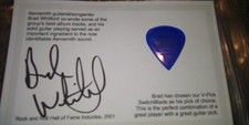 Tarjeta limitada firmada por Aerosmith Brad Whitford azul V Pick selección de guitarra rara