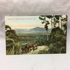 Vintage Postcard Redlands California Smiley Heights Scene Newman Co