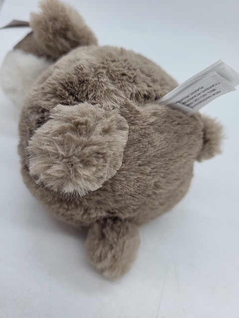 happy nutmeg hamster mini