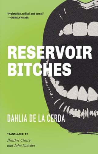 Reservoir Bitches: Stories by Dahlia de la Cerda: New