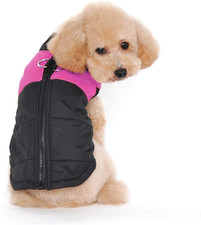 Animale Domestico Cane Vestiti Imbottito Abbigliamento Cappotto Giacca