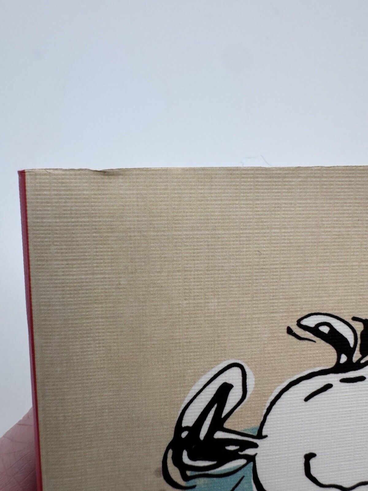 Foto 7 di 8