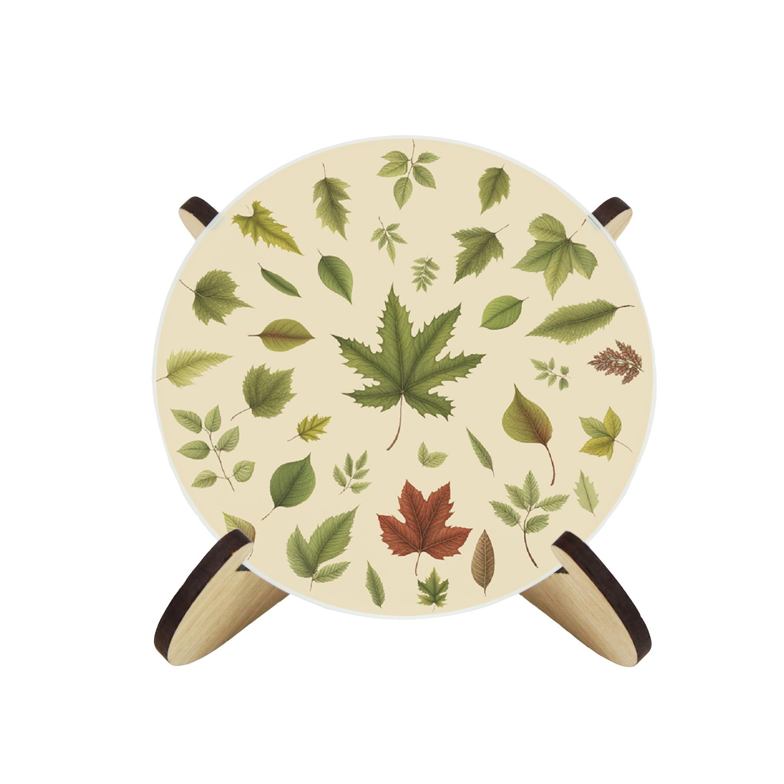 Leaves of Britain Coasters & Stand Set - Round Glass Green Leaf Gift