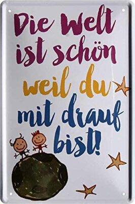 Blechschild Spruch  Die Welt ist schön Weil du mit Drauf bist!  20x30