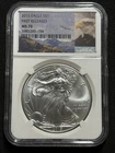 2015 Silver Eagle S$1 First Release NGC MS 70 - Bald Eagle Slab!!!
