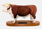 Vintage Beswick Polled Hereford Bull Mounted Matte Connoisseur Model - Perfect