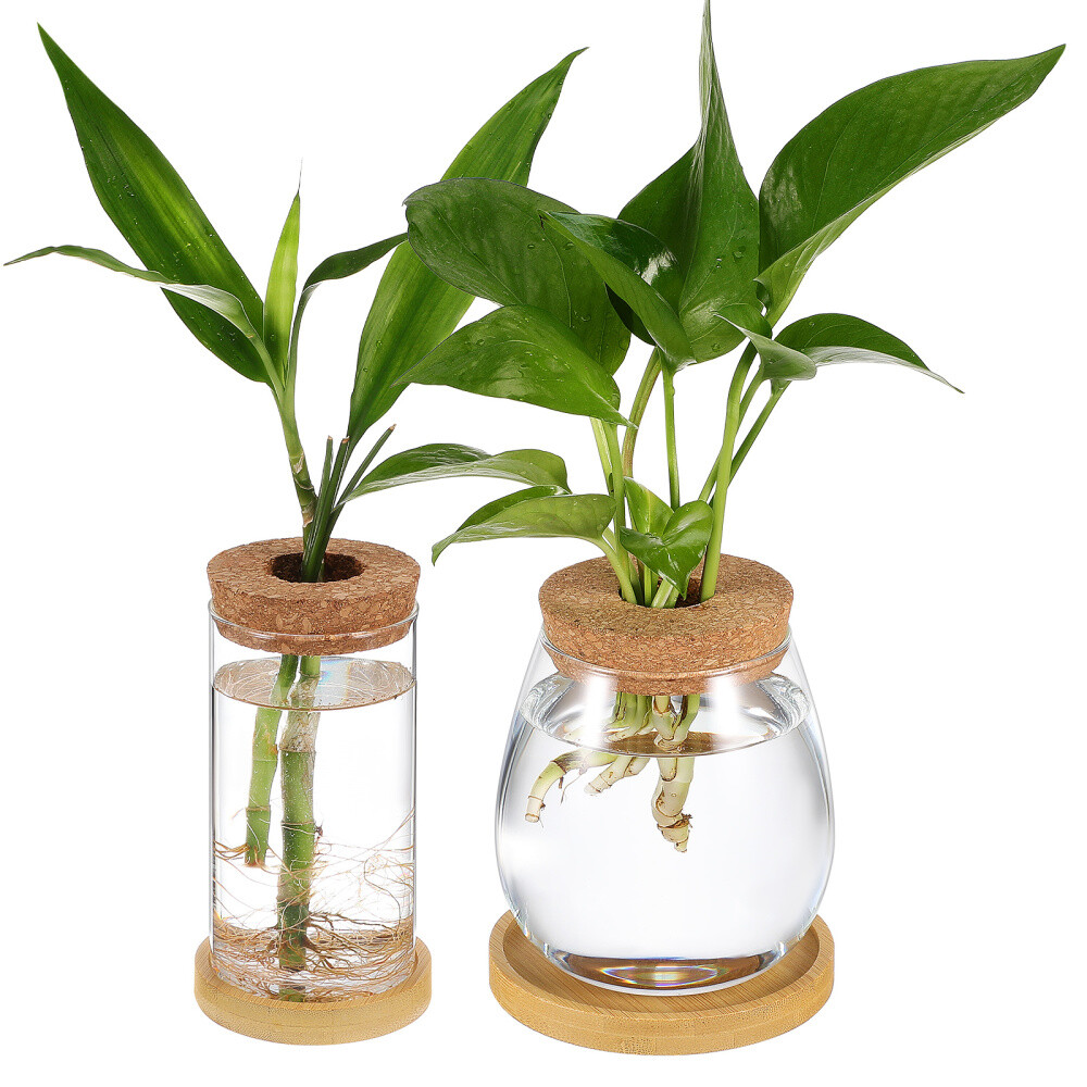 2 Pcs Small Hydroponic Plant Vase Terrarium Indoor Planter