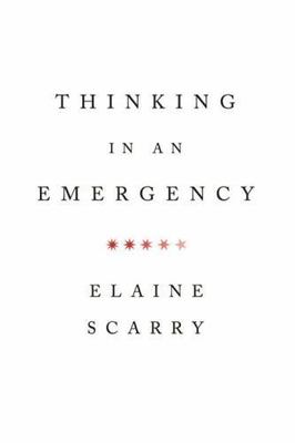 Thinking in an Emergency (Amnesty International Global Ethics Series) (Norton Gl