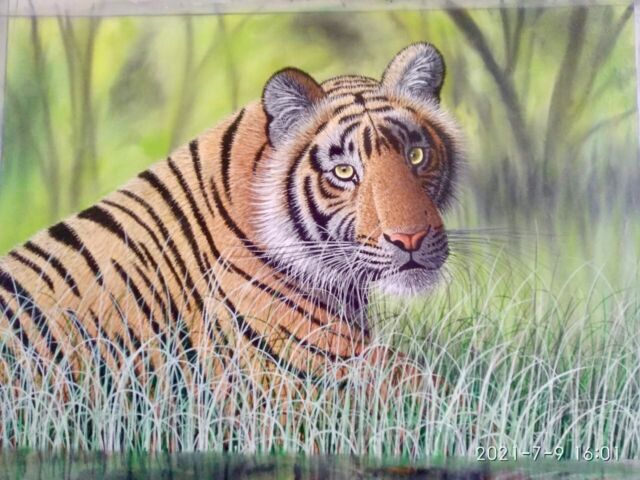 Colorato Fatto a Mano Indiano Tigre Dipinto Su Seta - Acquarello Art