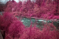 Special Infrared Nikon D3100 BODY   Unique IR Conversion  Accessories