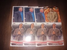 Michael Cole 8 Card Lot WWE
