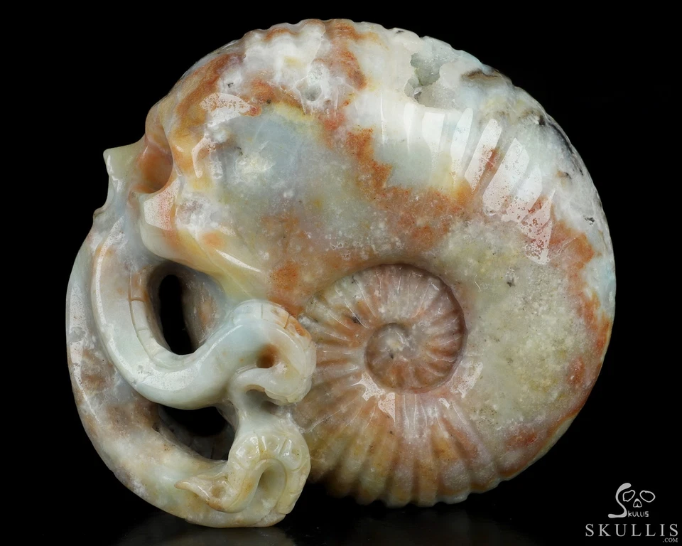Escultura de calavera de cristal Nautiloide Cthulhu tallada a mano amazonita china de 5,7" Foto 4 de 4