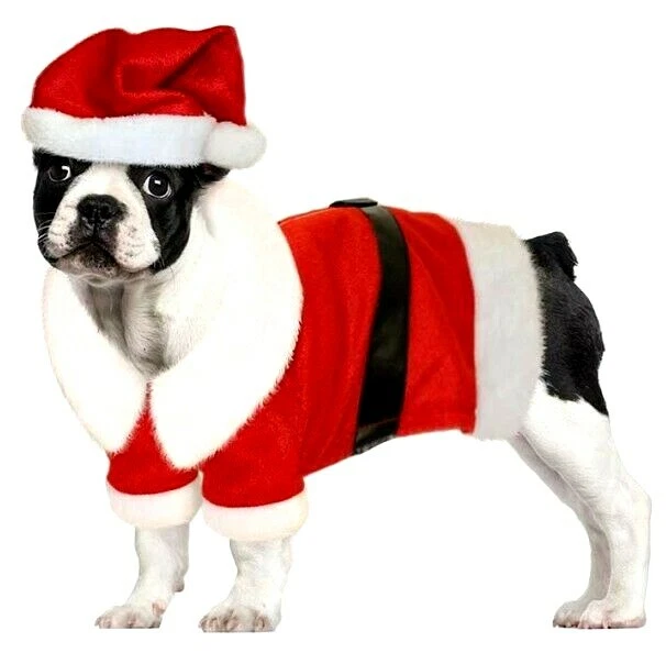 Merry Christmas Xmas Coat Hat For Small Dogs Costume Pug French