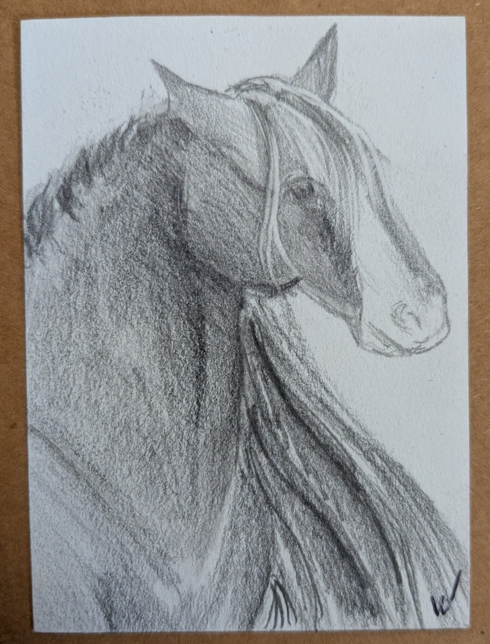 ACEO Original Art Horse Graphite Drawing 2.5x3.5 Contemporary Art Wachtel