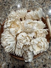 OYL  LUV Sola Wood Flowers 18 ct "Carnival" 2"-3" Premium DIY Floral Supply