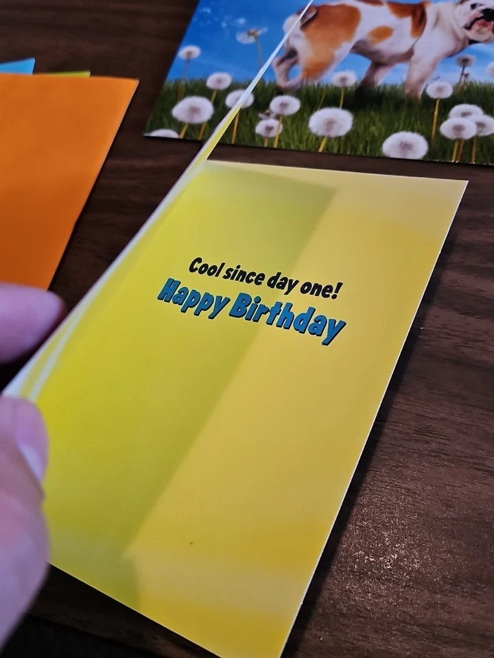 Lot of 3 Dogs Greeting Card Lot Avanti Press USA Happy Birthday Feel Better  - Image 3 of 4