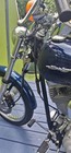 2000 Harley Davidson Softail