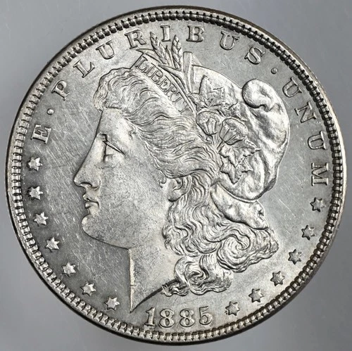 1885-P  $1 MORGAN SILVER DOLLAR  AU DETAILS "CLEANED/MARKS" (251110-015)