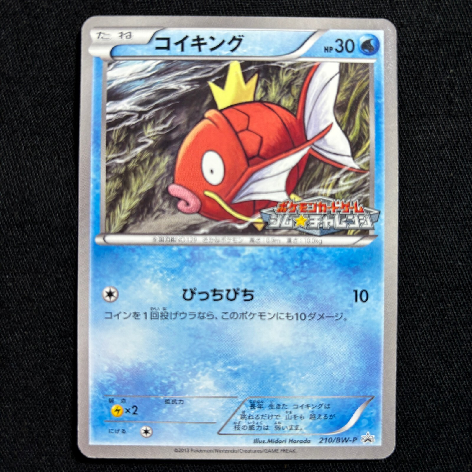 Pokemon Card Japanese Magikarp 210/BW-P Gym Challenge Promo 2013 NM