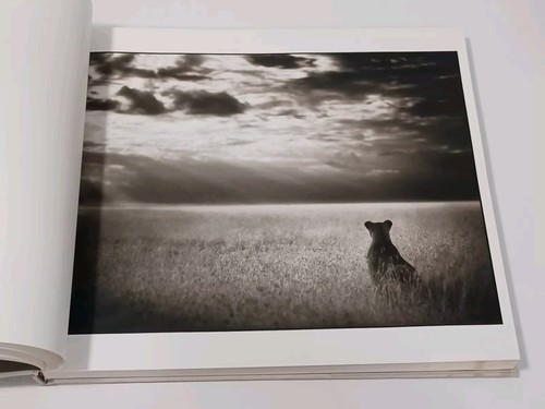 On This Earth, A Shadow Falls von Nick Brandt Buch übergroßes Hardcover 2012 - Bild 9 von 17