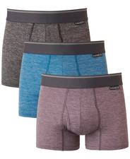 Hanes Men's Ultimate 3pk. ComfortFlex Stretch Trunks Multi-Small 28-30W