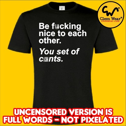 ladies tee rude T SHIRT tee explicit nsfw BE F*CKING NICE TO EACH OTHER T-shirt - Picture 5 of 5