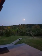 Digital Image Picture Photo Wallpaper Background Beautiful Art # 345